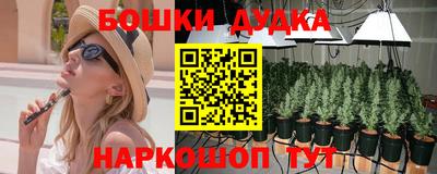 PSILOCYBIN Гай