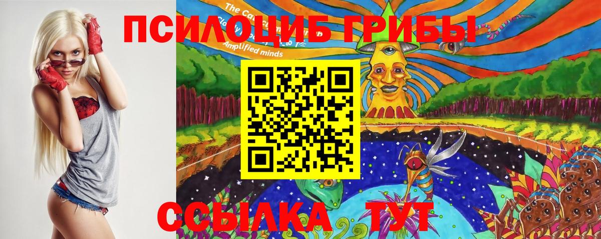 как найти   Псилоцибиновые грибы мицелий  Вход с VPN  Галлюциногенные грибы MAGIC MUSHROOMS  Михайловка 